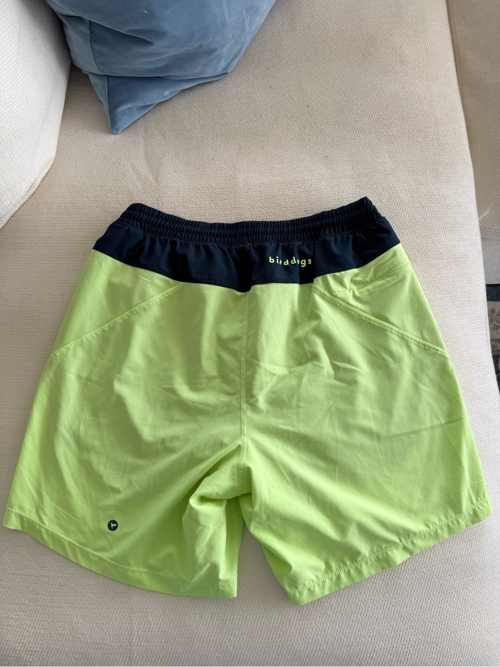 Birddogs Classic Fit Shorts in Bright Green and Navy